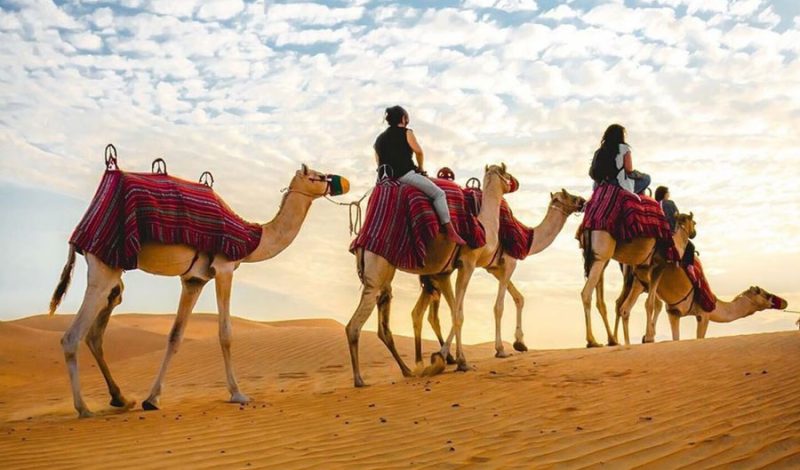 camel trekking dubai 3 بهترین تجربه سفر با تور دبی آژانس مسافرتی توران تراول