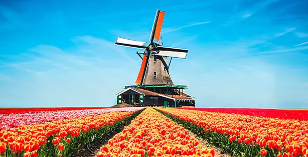 Netherlands Visa Preview اخذ ویزای آنلاین 70 کشور توران تراول